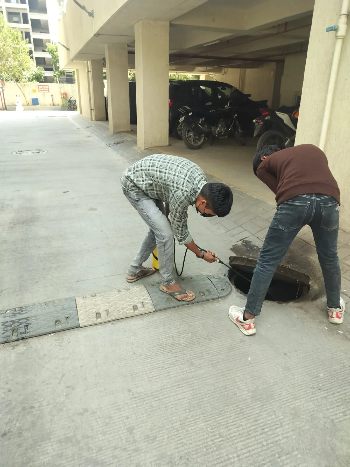 Real pest-control drain treatment