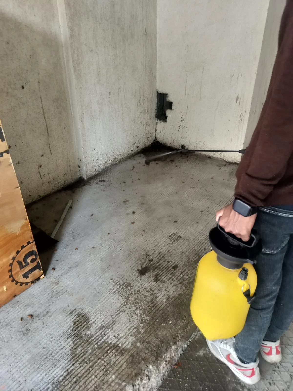 Real pest-control treatment work